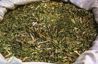 ou-acheter-du-mate (1) (1)