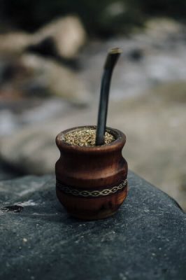 the-mate-bio the-mate-bio